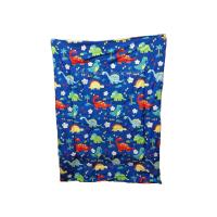 ราคา ผ้าห่มนวม ผ้าห่ม ผ้านวม ขนาด6ฟุต ผ้าcotton เกรดA ผ้านุ่ม ห่มสบาย ลายการ์ตูน มีหลายลาย และหมอน (1785958859)