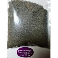 ราคา Tokyu EBI โตคิว เอบิ 150g มี 3 ขนาดให้เลือก อาหารเม็ดจม สำหรับเลี้ยงปลาที่หากินบริเวณพื้นน้ำ เช่น กุ้ง ปลากระเบน ปลาแพะ ปลาหมู (19972069451)