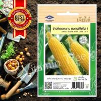 ราคา เมล็ดพันธุ์ ข้าวโพด หวานหวานเจียไต๋ 1 CORN SEED เจียไต๋ (19262056806)