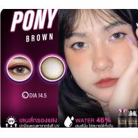 ราคา Pony pola brown รุ่นน้ำตาล ตาฉ่ำ ขนาดโตกว่าตา ลายฮิต คละแบรนด์ (10634460718)