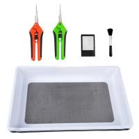 ราคา Trimming Tray ถาดทริม ถาดทริมใบไม้ ชุดถาดทริม แถม กรรไกร แว่นขยาย แปรง ถุงมือยาง ครบเซ็ท (20859845414)