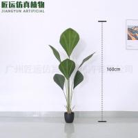 ราคา ต้นไม้ปลอม ต้นกะพ้อ ต้นตะกูลLicuala ต้นไม้แต่งบ้าน ราคาถูก พร้อมส่ในไทย Plant L KAP (20946195763)