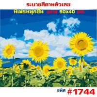 ราคา พร้อมส่ง รหัสชุด2 รูปวาด ภาพวาด ภาพวิว HOME DIY ภาพวาด ระบายสี ภาพวาดสีน้ำมัน ภาพระบายสีตามตัวเลข ขึงเฟรมไม้ Nextone (19976814190)