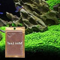 ราคา 100 เมล็ดหญ้าน้ำ สำหรับปลูกตกแต่งตู้ปลา ตู้ไม้น้ำ Aquarium Plants Seed ช่วยสร้างระบบนิเวศในตู้ปลาให้เหมือนกับธรรมชาติ พืชน้ำตกแต่งตู้ปลา (11769439772)