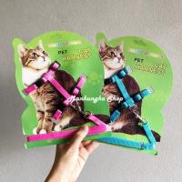 ราคา สายจูงแมว เชือกจูงแมว เชือกจูงแบบรัดอกแมว เชือกจูงสัตว์เลี้ยง สายจูงสัตว์เลี้ยง เชือกจูง (635058619)