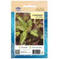 ราคา เมล็ดผักใบ กระเพรา โหระพา แมงลัก ผักเสี้ยน ผักชีลาว ผักชี ผักโขมใบกระ ผักโขมแดง ผักกาดหอมเมล็ดขาว ผักกาดหอม เจียไต๋ (18538566624)