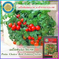 ราคา เมล็ดพันธุ์มะเขือเทศ Patio Choice Red Tomato Seeds (16596806070)