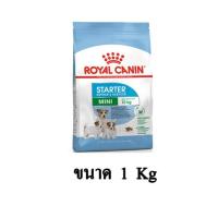 ราคา Royal Canin MINI STARTER อาหารสุนัขขนาดจิ๋ว เล็ก แม่และลูกสุนัข ขนาดเล็ก แบบเม็ด ขนาด 1 KG (7763945724)