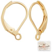 ราคา 50Pcs Box Leverback Earring Findings 24K Gold Plated Stainless Steel French Earring Hooks 15 5x10x1 5mm Interchangeable Dangle Ear Wire Findings for Jewelry Making (20582432249)