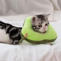 ราคา ปลอกคอกันเลีย 3D ปลอกคอกันเลียแมว ปลอกคอกันเลียหมา Soft Elizabeth Collar ปลอกคอโคน (16210762462)