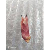 ราคา ดอกทองแห้ง 5ชนิด ให้เลือก ปลุกเสกแล้ว ราคาต่อ1ดอก พกติดตัว ว่านดอกทอง ต้นดอกทอง ดอกทองเขมร ดอกทองอุมาวดี ดอกทองเทพประสิทธิ์ ดอกทอง (16777715719)