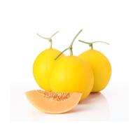 ราคา เมล็ดพันธุ์ เมล่อนควีน สีทอง ผลกลม คัดพิเศษ เนื้อสีส้ม 5 20 เมล็ด 10 เเถม 1 คละได้ (10731171629)