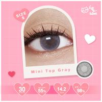 ราคา Kitty Kawaii Contact lens รุ่น Mini Top Gray (20648721907)