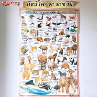 ราคา โปสเตอร์ก ไก่ม่วงขาว สติกเกอร์ ภาษาไทยเบื้องต้น กขค ก ไก่ ก ฮ เสริมพัฒนาการ เตรียมอนุบาล อนุบาล นิทานอีสป สูตรคูณ (16468207958)