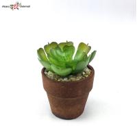 ราคา แคคตัสจิ๋วพร้อมกระถาง กระถางต้นไม้ปลอมจิ๋ว Artificial cactus with pot (4251970862)