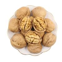 ราคา วอลนัท Walnut วอลนัท สำหรับสัตว์เลี้ยงฟันแทะ นกแก้ว กระรอก กระต่าย ชุด 5 ลูก (16480579926)
