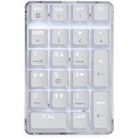 ราคา TECHCHIP Mechanical Numeric Keypad GATERON Brown Switch Wired Gaming Keypad Crystal Case White Backlit 21 Keys Mini Numpad Keypad (17415695752)