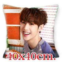 ราคา ส่งจากไทย หมอนพิมพ์ลาย BTS GOT7 EXO NCT THE BOYZ มีทั้งหมอนและปลอกหมอน (17741215228)