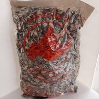 ราคา เมล็ด ทานตะวัน วันเกรดเอป้อมอาหารนกแก้วหนูกะรอกครึ่งกิโลกรัม (3930226493)