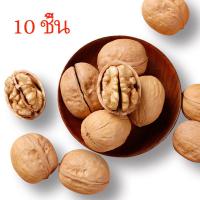 ราคา วอลนัท Walnut วอลนัท สำหรับสัตว์เลี้ยงฟันแทะ นกแก้ว กระรอก กระต่าย ชุด 5 ลูก (16480579925)