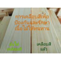 ราคา ชั้นไม้ ชั้นวางของ ชั้นวางโมเดล แคคตัส ชั้นวางต้นไม้ ชั้นไม้บันได 1ชั้น (16509479870)