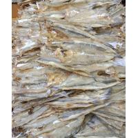 ราคา ปลาช่อนทะเล ปลาจิ๊กโก๋ ปลาไล้กอ ตัวเล็ก จืดอร่อย น้ำหนัก200กรัม MOMSQUID อาหารทะเลแห้ง (6779878618)