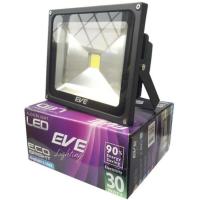 ราคา EVE สปอร์ตไลท์แอลอีดี Spot Light LED 30W แสงขาว รุ่น COB 1 ตัว ประกันสินค้า 1ปี (13602119)