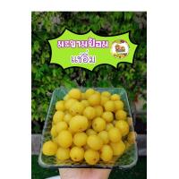 ราคา มะขามป้อมแช่อิ่ม กรอบสดใหม่ ช่วยให้ชุ่มคอ ขนาด 500 กรัม (17051460627)