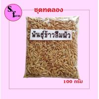 ราคา พันธ์ข้าวเหนียวดำ ข้าวลืมผัว ข้าวก่ำ (15059340644)