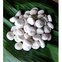 ราคา ลูกแป้งข้าวหมากแม่จินดา ลูกแป้งข้าวหมาก ลูกแป้งข้าวหมากหวาน โปร ลูกแป้งหวาน ลูกหวาน เชื่อข้าวหมาก บรรจุแพ็คละ 5 ลูก (21009024189)