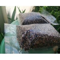 ราคา ข้าวเหนียวดำ ข้าวก่ำ ข้าวซ้อมมือลืมผัว 1 กก (20534432225)