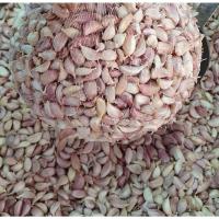 ราคา กระเทียมไทย กระเทียมกลีบไทย กระเทียมกลีบคัด กระเทียมคัด กระเทียม กระเทียมกลีบเล็ก ขนาด 200 กรัม (20767344520)