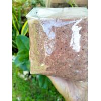 ราคา กะปิระนอง กะปิเเท้ 100 (20744133137)