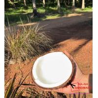 ราคา มะพร้าวทับสะแกแท้ๆ ส่งตรงจากสวน มะพร้าวกะทิ มะพร้าวแกง มะพร้าวแก่ทับสะแกเนื้อหนามันเยอะ รบกวนทักแชท เช็คสต๊อคก่อนสั่งนะคะ (17155991613)