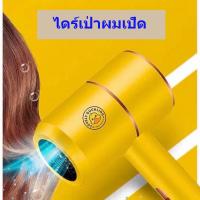 ราคา ไดร์น้องเป็ดเหลือง ไดร์เป่าผม เครื่องเป่าผม ที่เป่าผม เป่าผม ไดร์เป่าผมพกพา ไดร์เป่าผมลมเย็น hair dryer 1000W ผมแห้งไว 2ระดับ (20699117845)