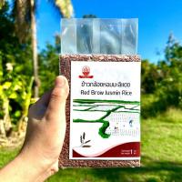 ราคา ข้าวกล้องหอมมะลิแดง คัดพิเศษ (17532894534)