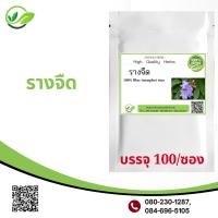 ราคา รางจืด 100 แคปซูลThunbergia laurifolia100 ยาแก้แฮ้งค์ แก้เมา ใช้ถอนพิษผิดสำแดง และพิษอื่นๆ (17645475748)