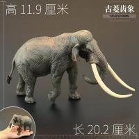 ราคา ของเล่นสัตว์จำลองสำหรับเด็กชุดโมเดลสัตว์ป่าช้างเนื้อแข็งไซส์ใหญ่ช้างแอฟริกาสวนช้างเอเชีย (12355003181)