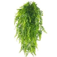 ราคา พร้อมส่ง เขากวาง ยูคา เฟิร์น โปทอส รวมต้นไม้ใบไม้ประดับช่อแขวน ต้นไม้ประดิษฐ์ สวยงามเสมือนจริง ความยาว (21089385952)