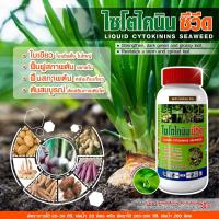 ราคา ไซโตไคนิน ซีวีด เปิดตาดอก แตกตาดอก แตกยอดใบ ขยายใบ ใบใหญ่ สมบูรณ์ ขยายขนาดผล ด่วน ทันใจ ทนอากาศ ร้อนจัด หนาวจัด ขนาด 1 ลิตร (19734180436)