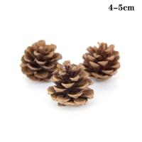 ราคา 5 10ชิ้นลูกสนธรรมชาติคริสต์มาสลูกสนธรรมชาติสำหรับเครื่องประดับต้นคริสมาสต์งานฝีมือของตกแต่งบ้านของขวัญ (20133913768)