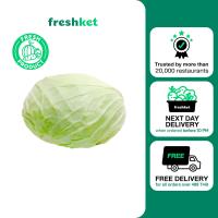 ราคา กะหล่ำปลีแบน คัดขนาด คัดตัดแต่ง Lazada Exclusive Item 500 กรัม แพ็ค (20606137552)