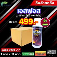 ราคา ยกลัง เอสฟอส 12 ขวด กำจัดเชื้อรา เชื้อไวรัส เชื้อแบคทีเรีย เชื้อต่างๆ ในโรคพืช ขนาด 1 ลิตร (15135036832)