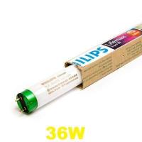 ราคา 10หลอด หลอดนีออน TL D 18W 36W หลอดฟลูออเรสเซนต์ขั้วเขียว เดย์ไลท์ แสงขาวขั้วเขียว super80 Lifemax Daylight 36 865 18 865 (1117964683)
