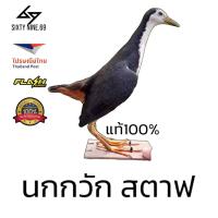 ราคา ครบชุดนกกวักสตาฟ อุปกรณ์ดักนกกวัก มีลำโพง usbนกกวัก นกกวักสตาฟ เก็บเงินปลายทาง (19493182640)