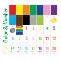 ราคา Flash card for Little Gallery แฟลชการ์ดสำหรับชุด Little Gallery (20582404260)