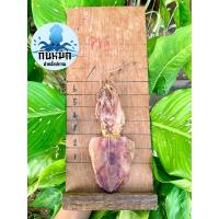 ราคา ปลาหมึกแห้ง 2 นิ้ว 250กรัม หมึกย่าง A5 หมึกเรือไดร์ เนื้อหวาน ไม่เค็ม ปลอดสารพิษ (18630890282)