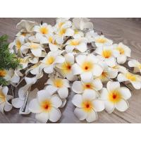 ราคา กิ๊บติดผมดอกไม้ กิ๊บติดผมดอกลีลาวดี พร้อมส่ง ราคาต่อ 1 ดอก (21057611030)