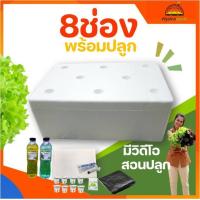 ราคา ครบพร้อมปลูก ชุดปลูกผักไฮโดรโปนิกส์ 8ช่อง กล่องปลูกไฮโดร กล่องโฟม ปลูกผัก ไฮโดรโปนิกส์ hydroponics ชุดกล่องปลูกผัก (20103111670)