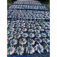 ราคา ปลาเนื้ออ่อนตากแห้ง ชุด 4 วง ชุด 6 วง ชุด 10 วง ตากสดใหม่ทุกวัน (20896148648)